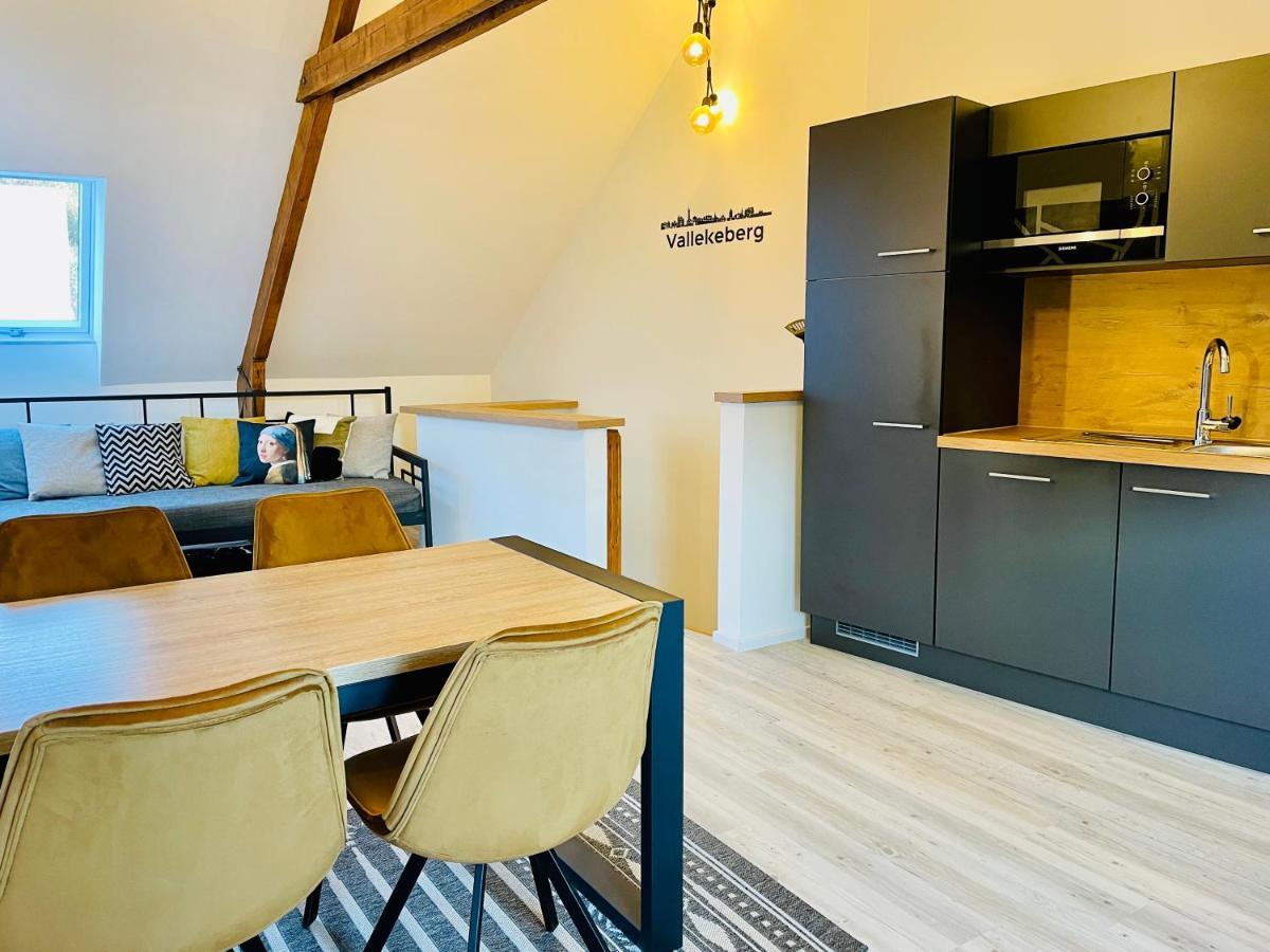 City Apartments Grendelplein Valkenburg aan de Geul Exterior foto
